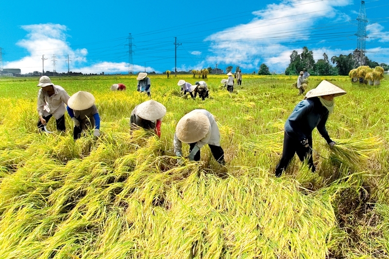 Bạn có biết học xong ngành nông nghiệp ra làm gì?